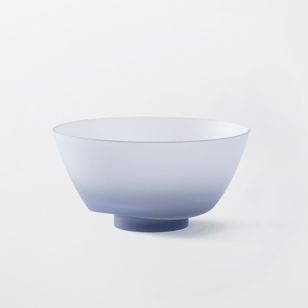 Donburi Bowl